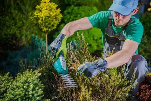 landscaping services Newcomerstown